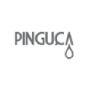 Pinguca