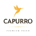 Capurro Pisco