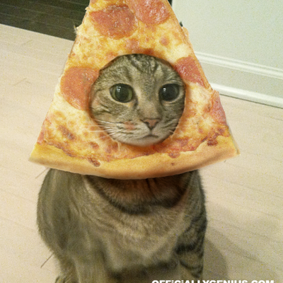 The Pizzacat