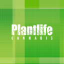 Plantlife Cannabis Plantlife Cannabis