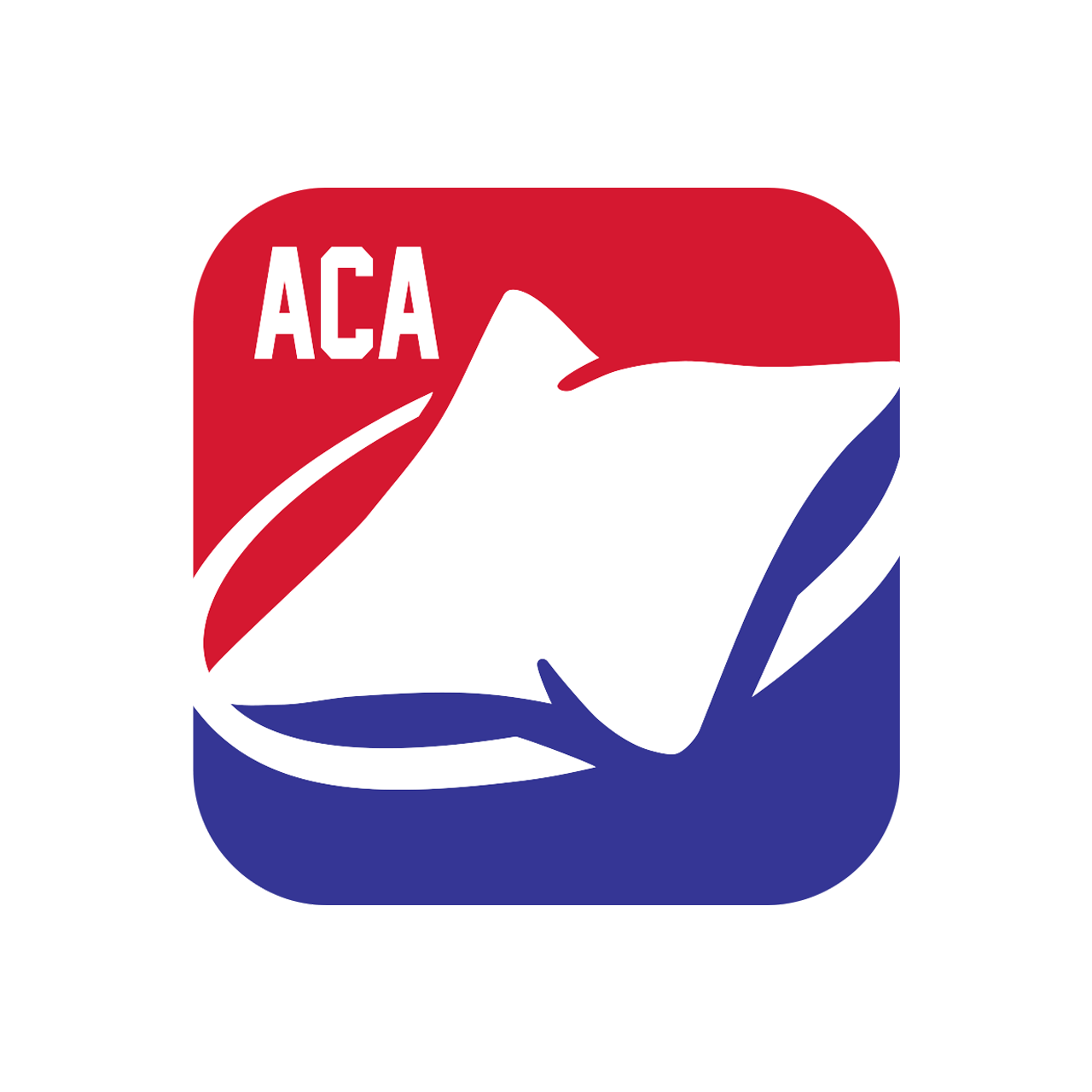 American Cornhole Association