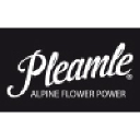 Pleamle