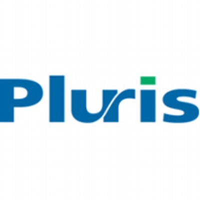 Pluris Valuation Advisors