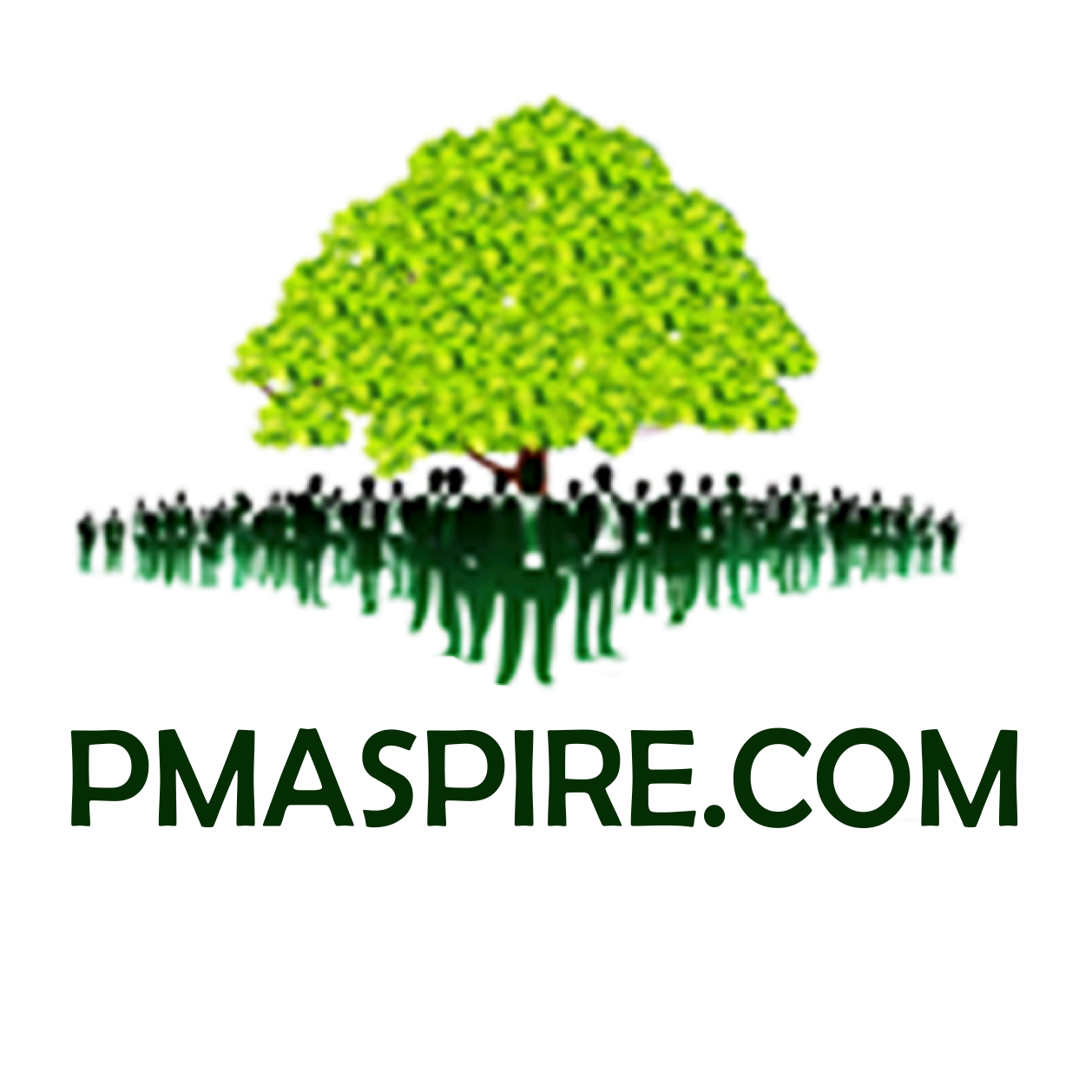 PMaspire