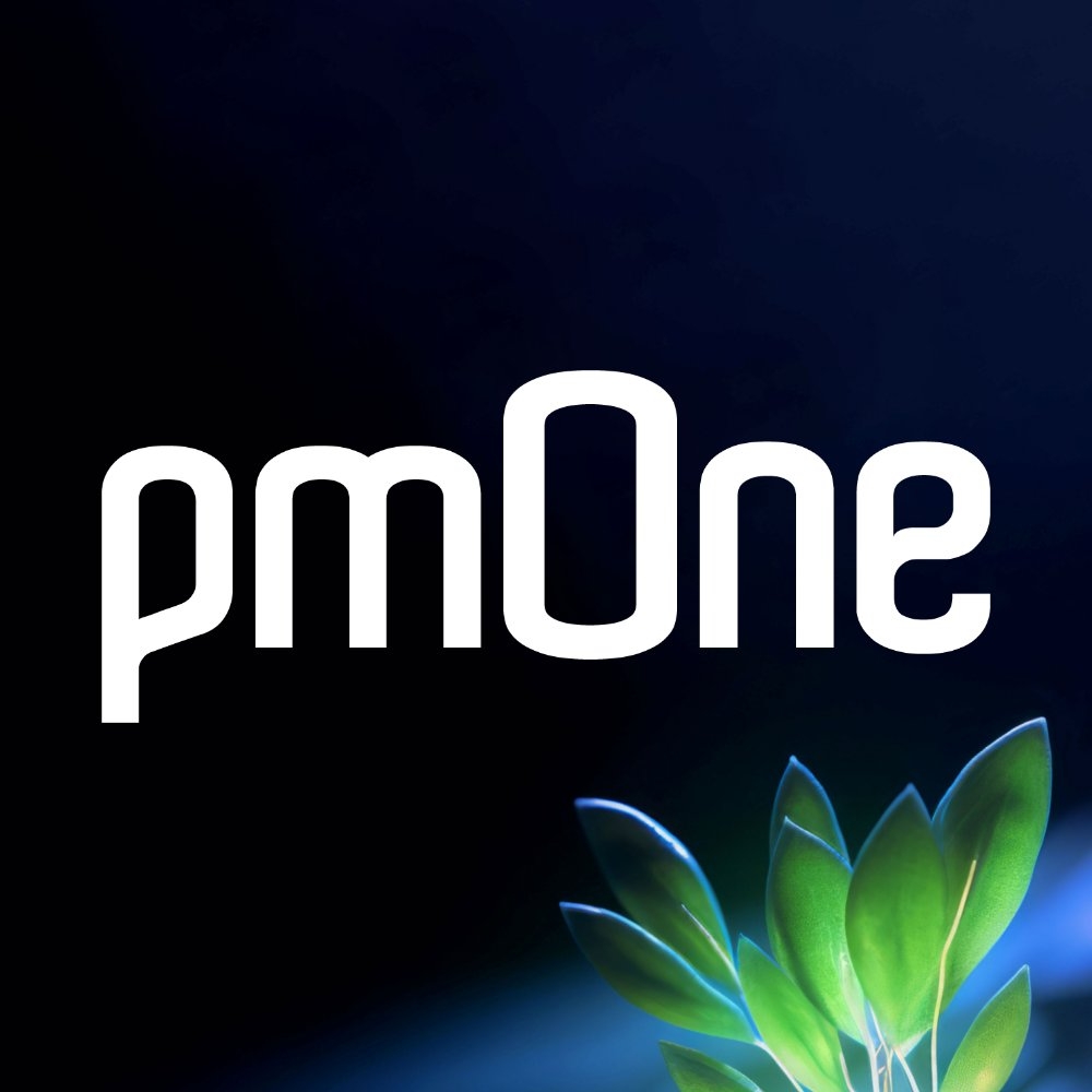 pmOne