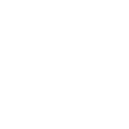 Polimentor