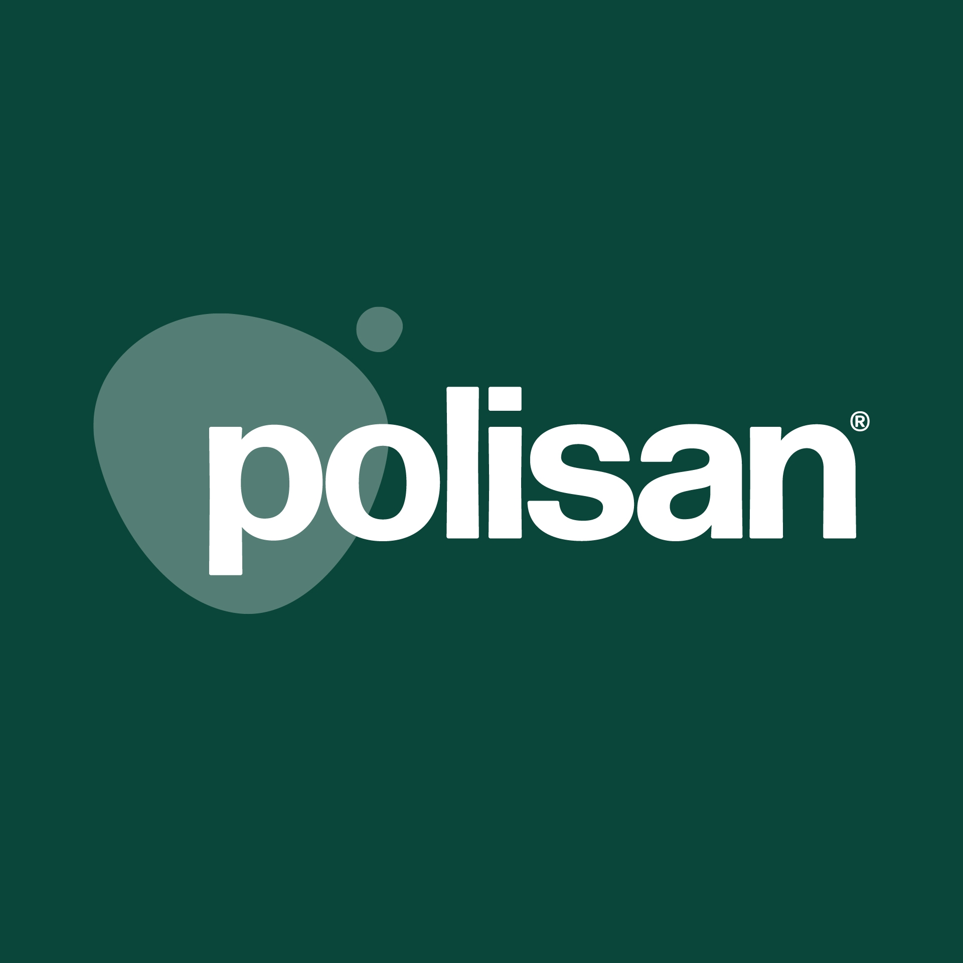 Polisan srl