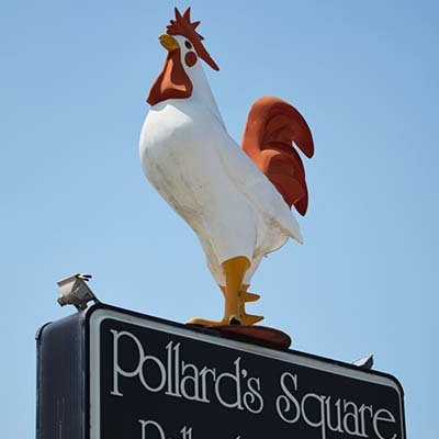 Pollards Chicken