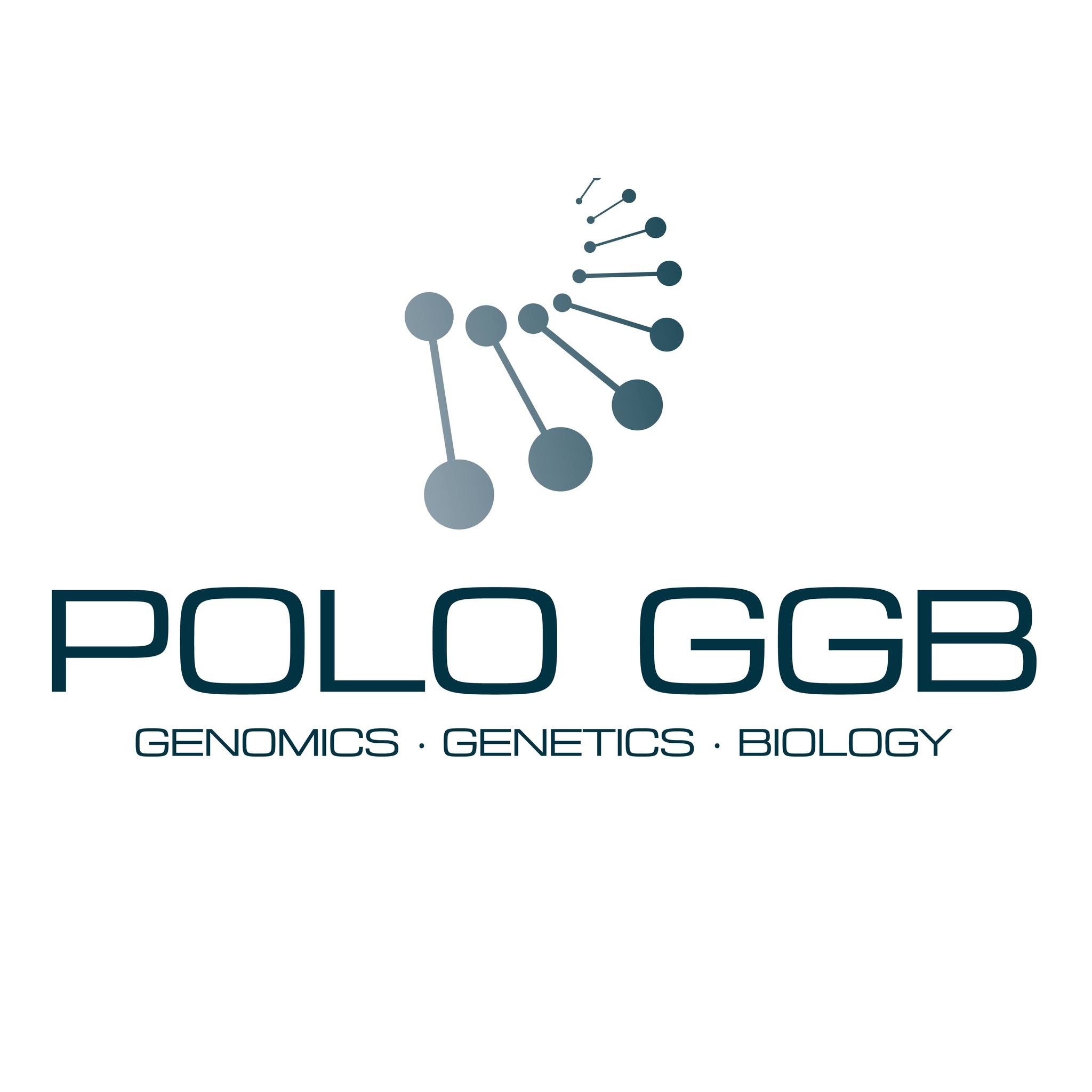 Polo GGB