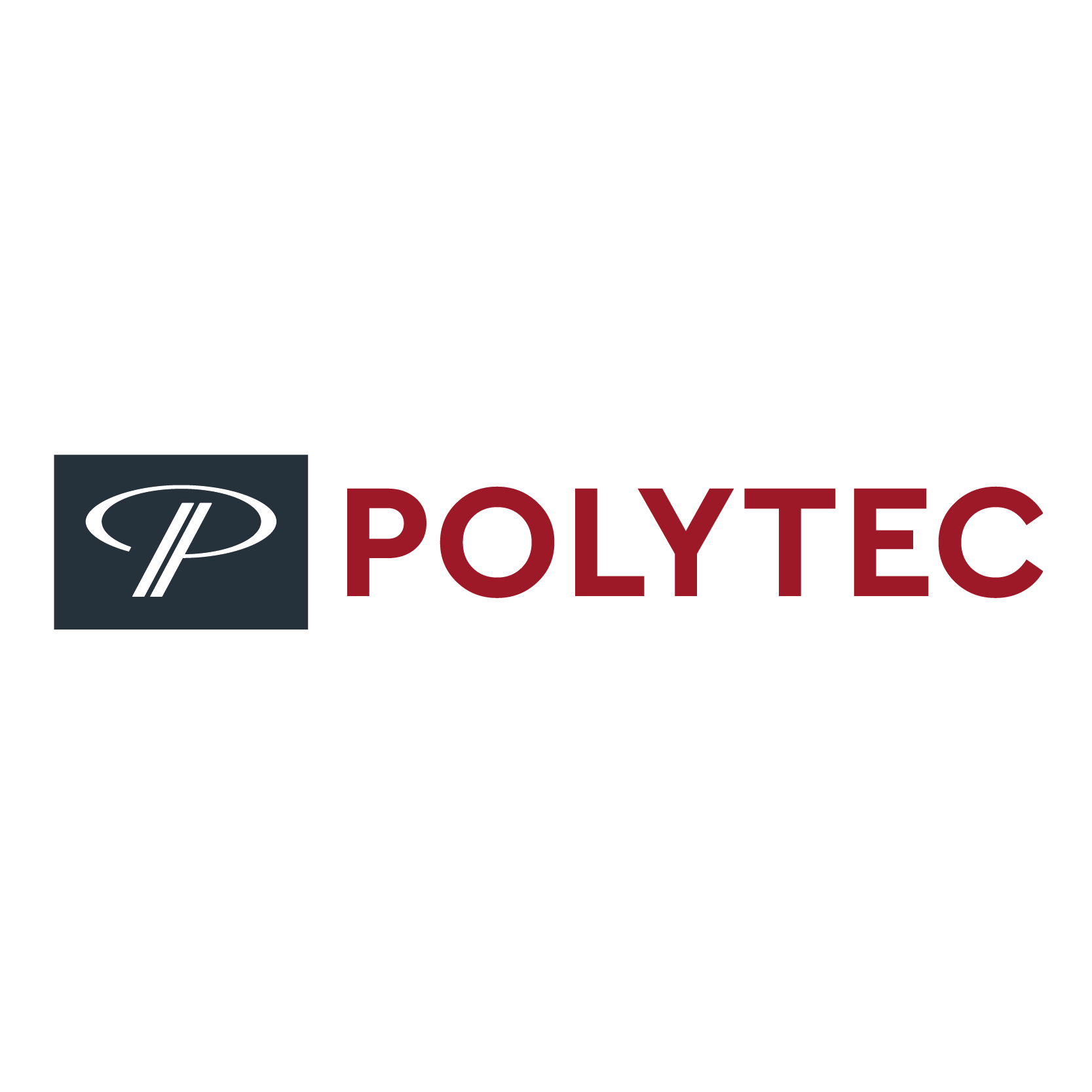 POLYTEC HOLDING