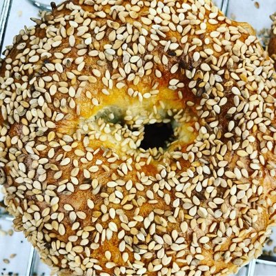 Popup Bagels