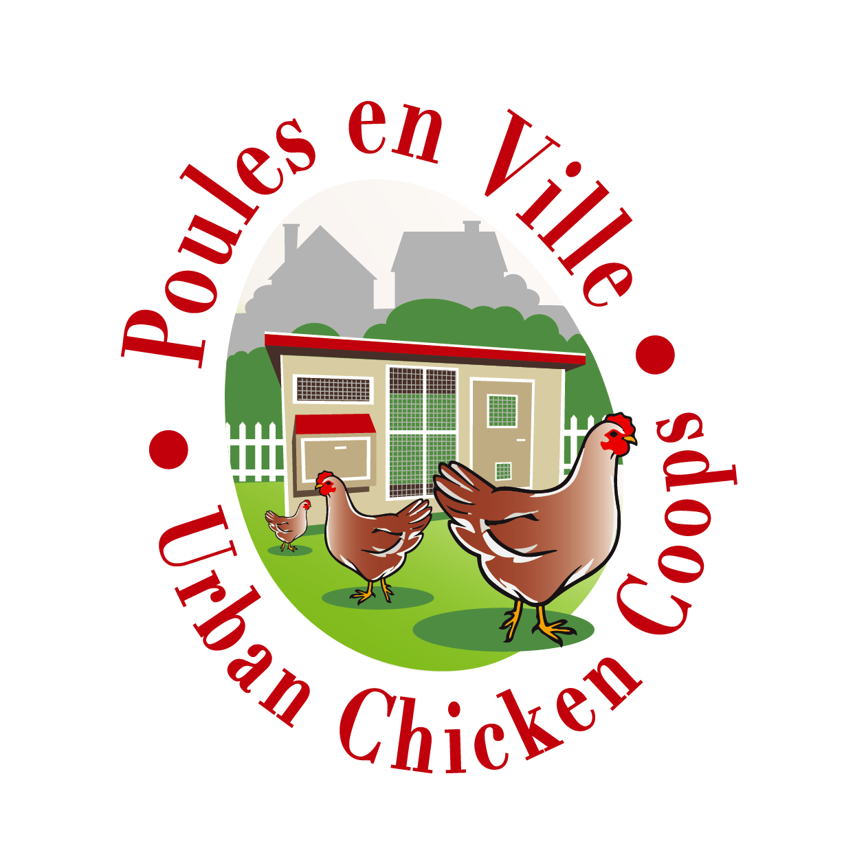 Poules en Ville