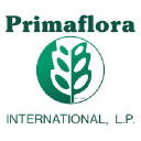 Primaflora International