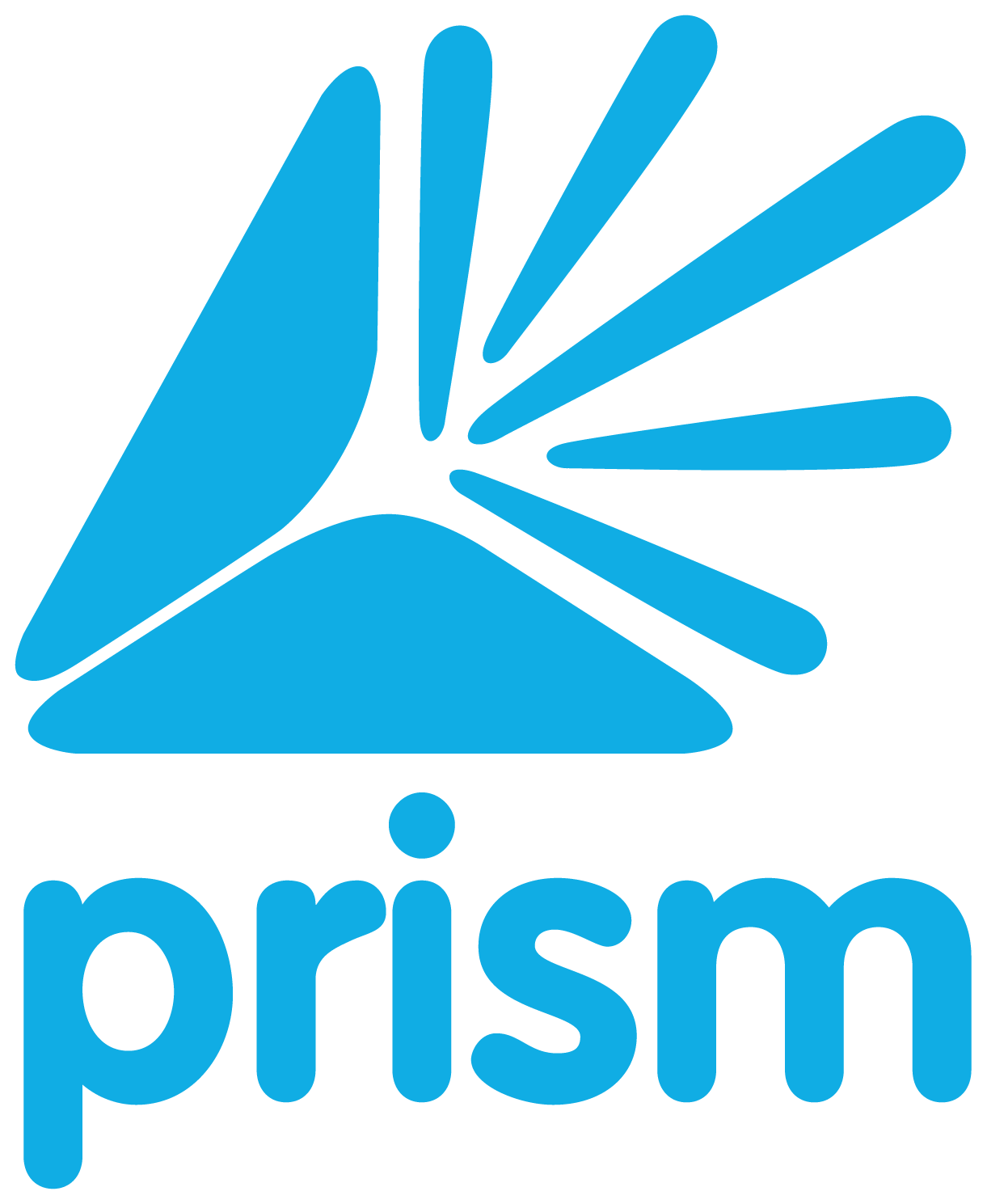 The Prism Group