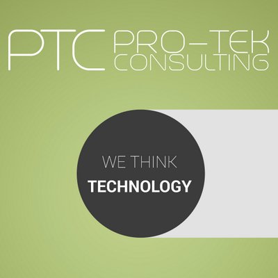 Pro-Tek Consulting