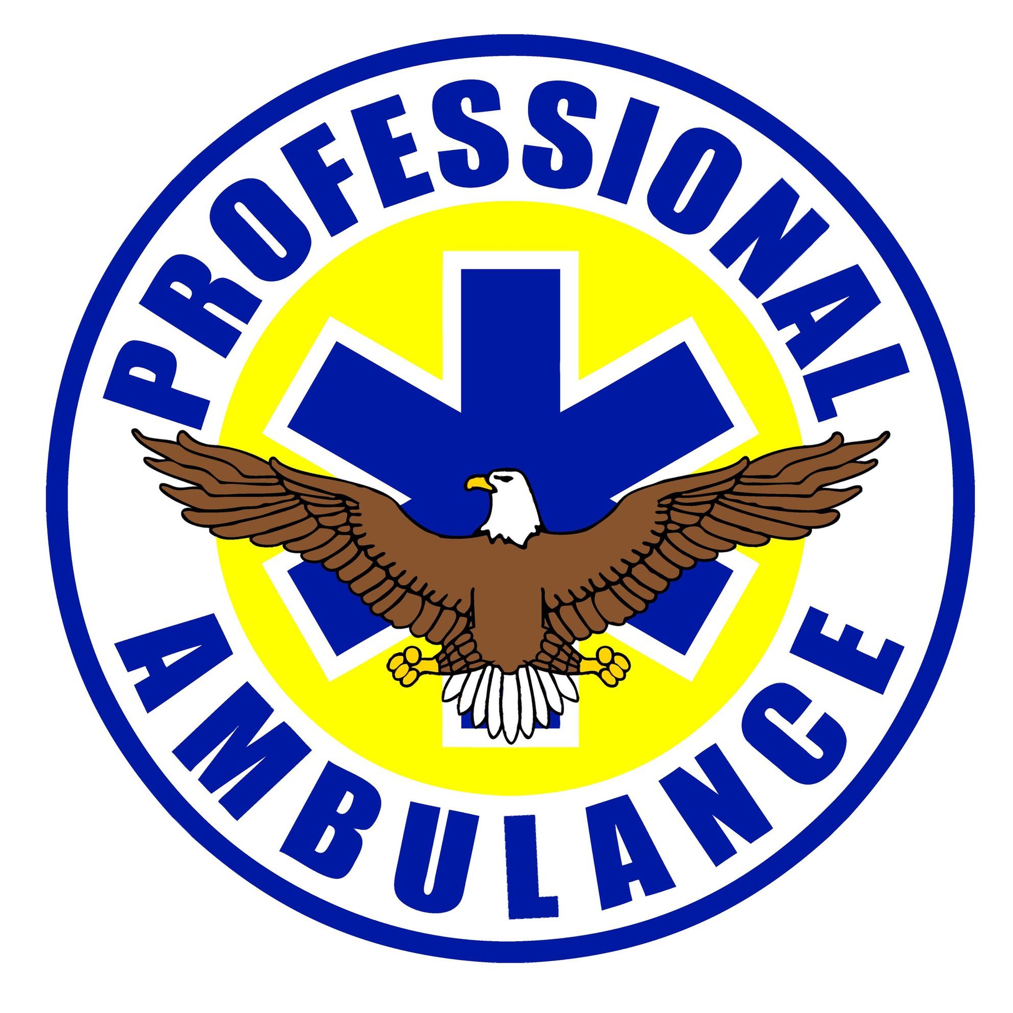 Professional Ambulance