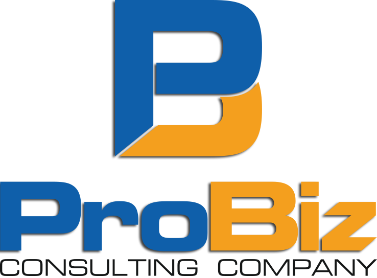 Probiz Consulting Company