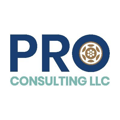 Pro Consulting