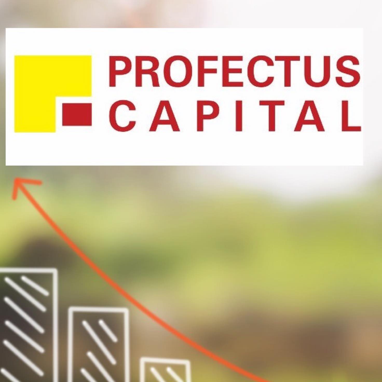 Profectus Capital Private