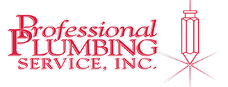 Professional Plumbing Service