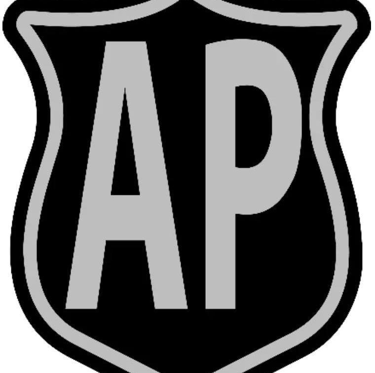 AP Professional Security