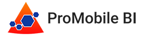 ProMobile BI