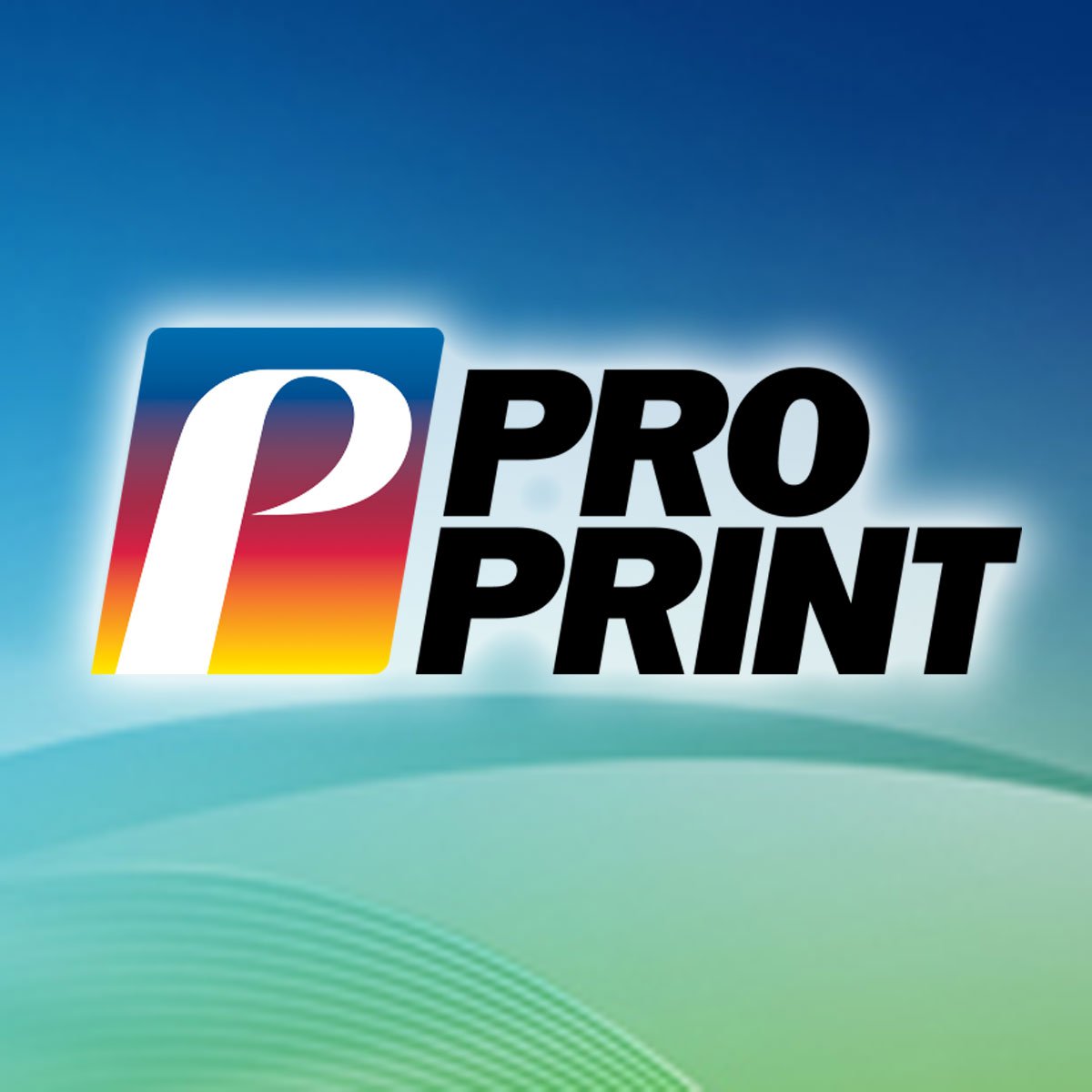 Pro Print