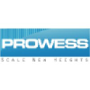 PROWESS Consulting Services