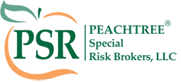 Peachtree Special Risk Brokers