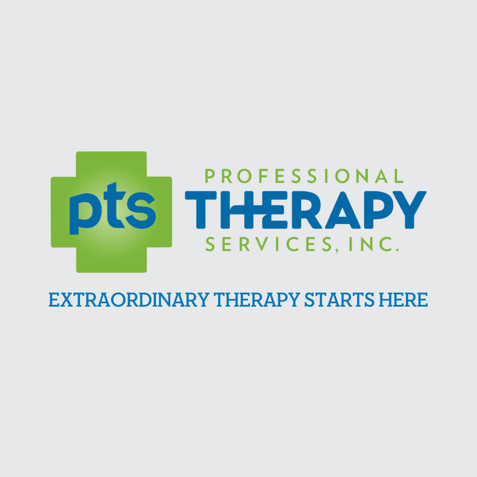 Professional Therapy Services