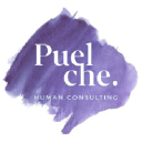 Puelche Human Consulting