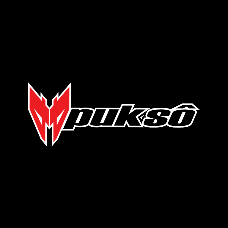 Pukso