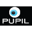 Pupil