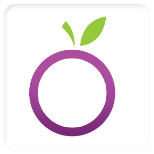 PURPLEAPPLE INFOSYSTEMS