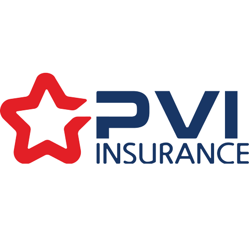 PVI Holdings