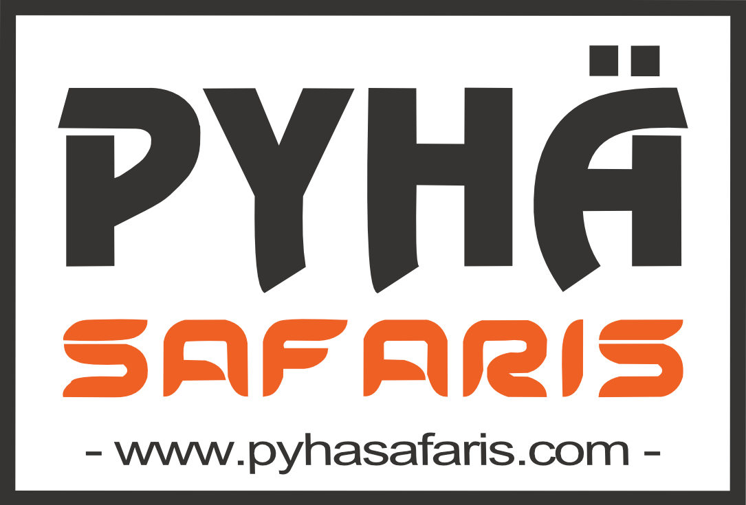 Pyhä Safaris