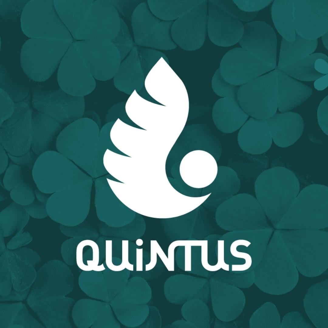 Quintus Marketing