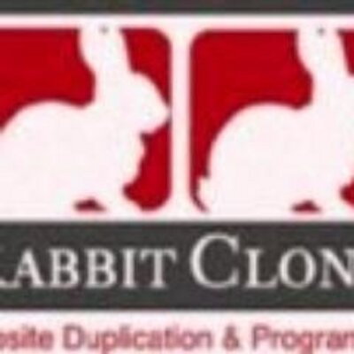 Rabbit Clone Web