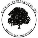 Race Mountain Tree Services