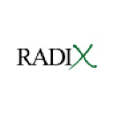 Radix Interactive