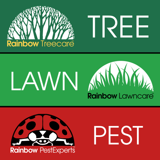 Rainbow Pest Experts