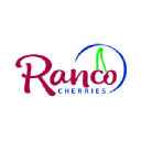 Exportadora Rancagua   Ranco Cherries