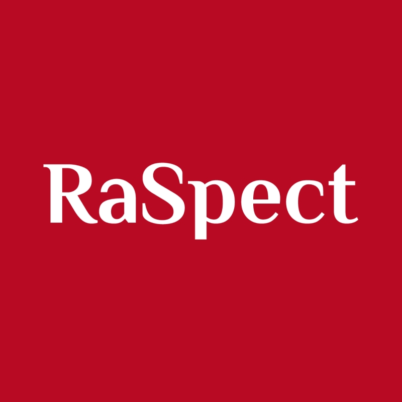 Raspect Intelligence Inspection