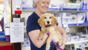 Rathgael Veterinary Clinic Limited