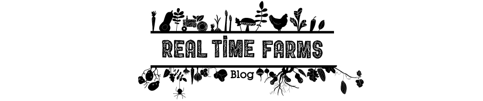 Real Time Farms