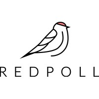 Redpoll