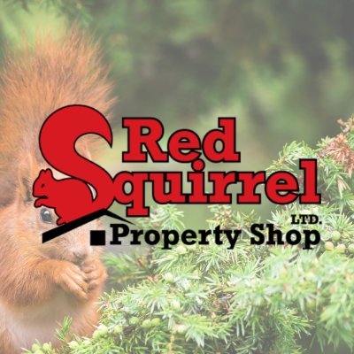 Red Squirrel Property Shop