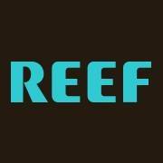 The Reef