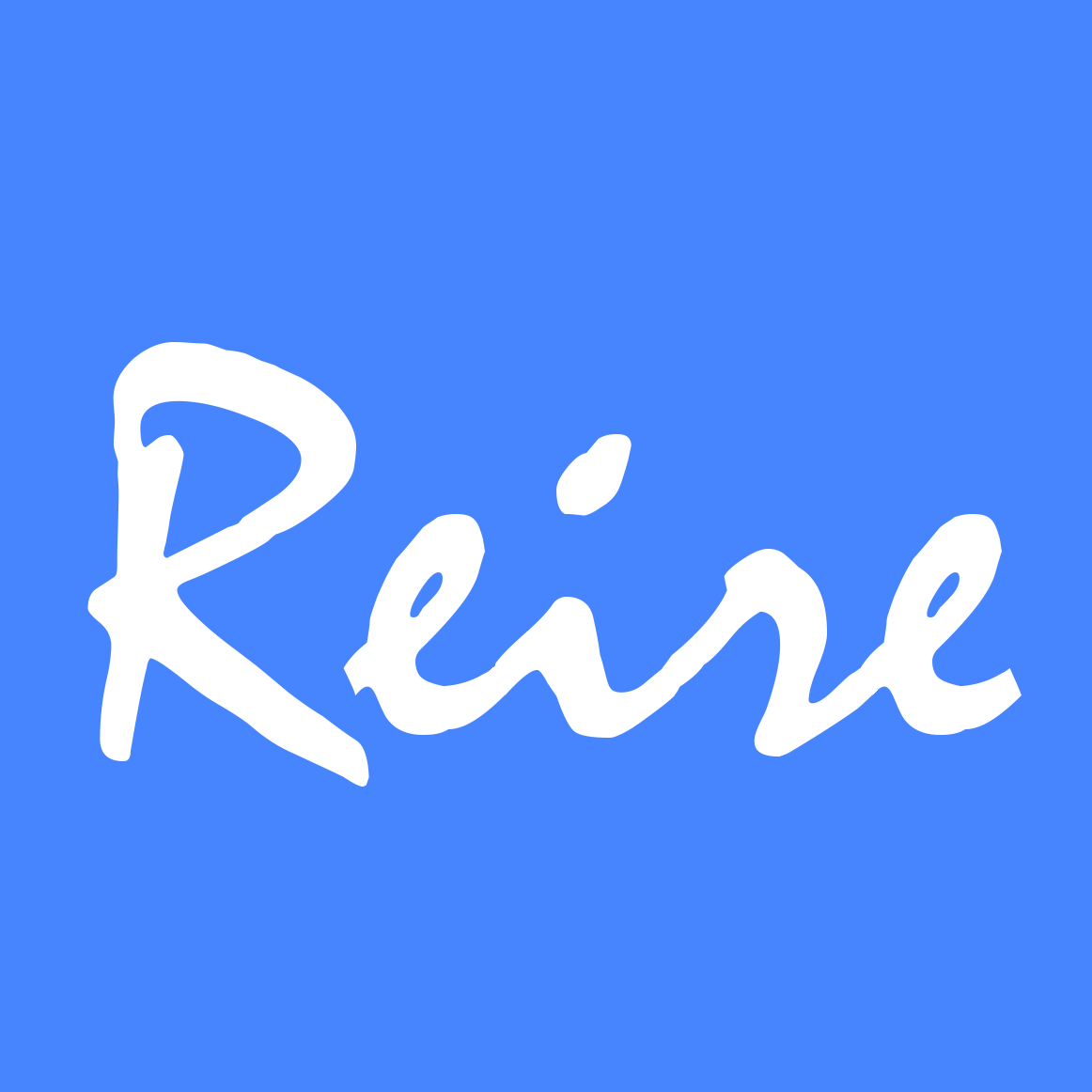 REIRE SRL