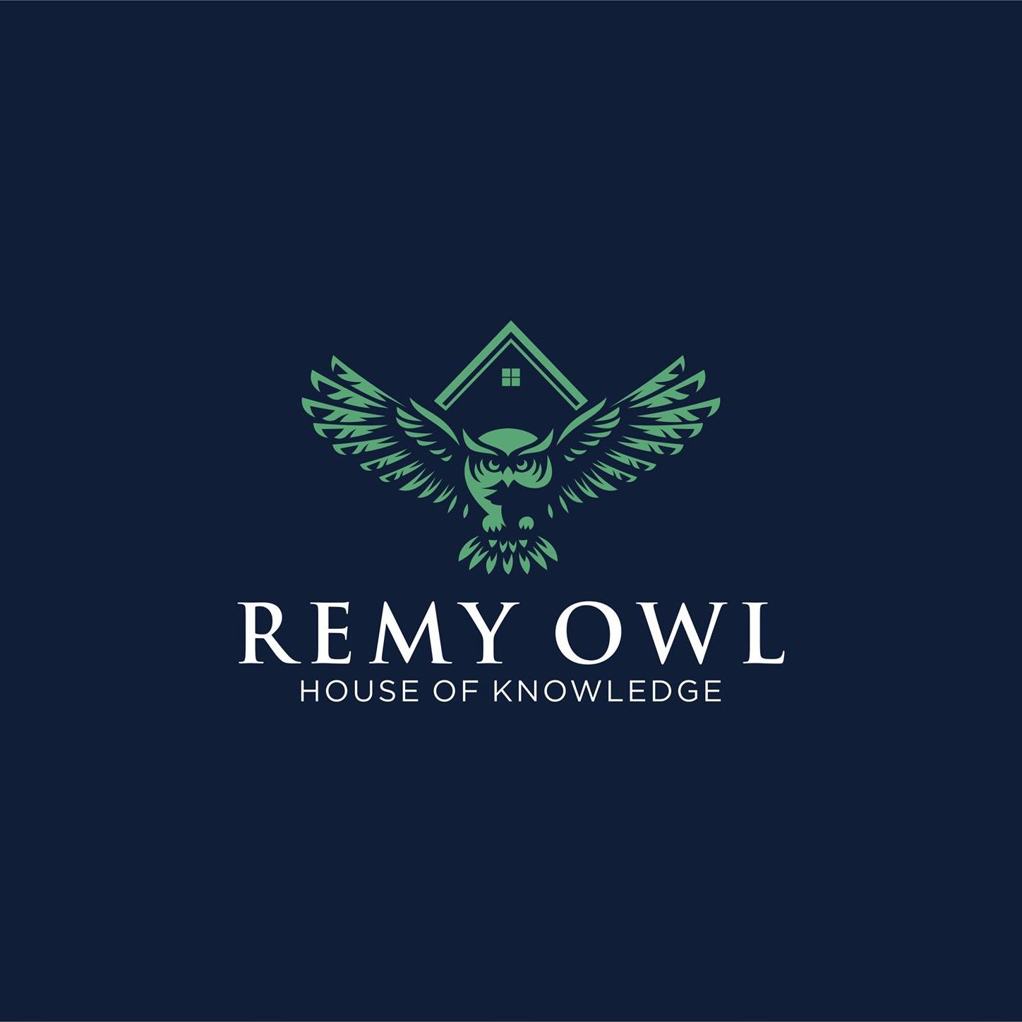 Remy Owl Corporation